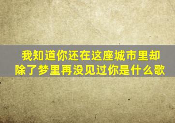 我知道你还在这座城市里却除了梦里再没见过你是什么歌