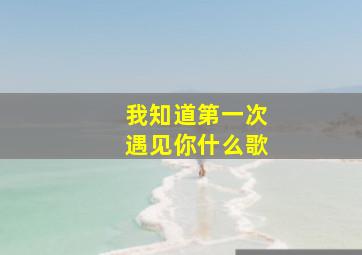 我知道第一次遇见你什么歌