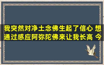 我突然对净土念佛生起了信心 想通过感应阿弥陀佛来让我长高 今年17...