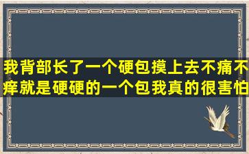 我背部长了一个硬包,摸上去不痛不痒,就是硬硬的一个包,我真的很害怕,...