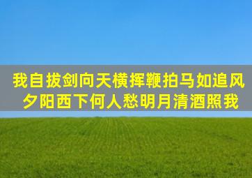 我自拔剑向天横,挥鞭拍马如追风。 夕阳西下何人愁,明月清酒照我