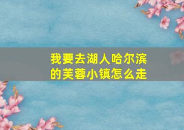 我要去湖人哈尔滨的芙蓉小镇怎么走