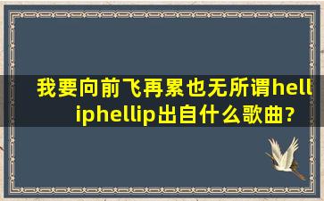 我要向前飞,再累也无所谓……出自什么歌曲?