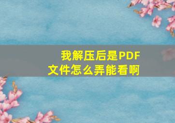 我解压后是PDF文件怎么弄能看啊