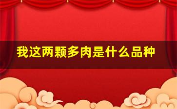 我这两颗多肉是什么品种