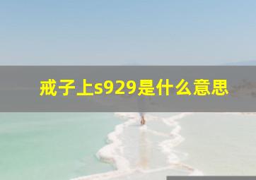 戒子上s929是什么意思