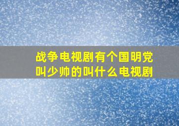 战争电视剧有个国明党叫少帅的叫什么电视剧