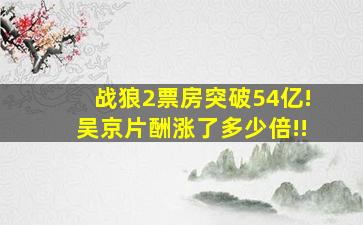 战狼2票房突破54亿!吴京片酬涨了多少倍!!