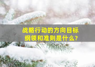 战略行动的方向目标纲领和准则是什么?