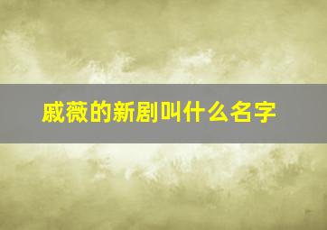 戚薇的新剧叫什么名字