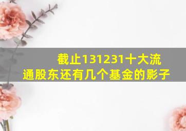 截止131231十大流通股东还有几个基金的影子