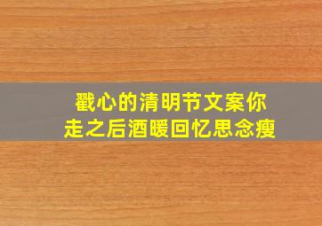 戳心的清明节文案,你走之后,酒暖回忆思念瘦