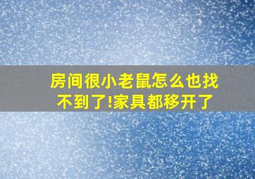 房间很小老鼠怎么也找不到了!家具都移开了