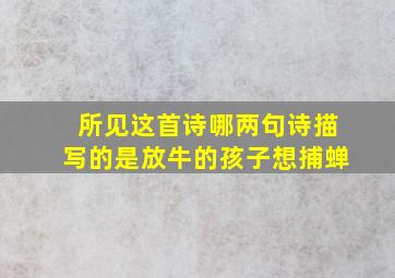 所见这首诗哪两句诗描写的是放牛的孩子想捕蝉