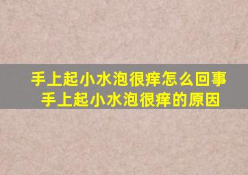 手上起小水泡很痒怎么回事 手上起小水泡很痒的原因