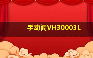 手动阀VH30003L