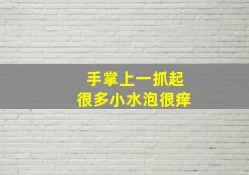 手掌上一抓起很多小水泡很痒