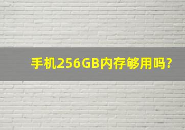 手机256GB内存够用吗?