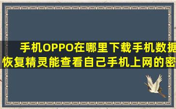 手机OPPO在哪里下载(手机数据恢复精灵)能查看自己手机上网的密码?...