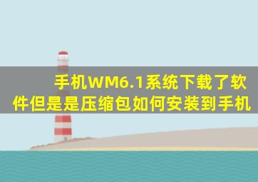 手机WM6.1系统下载了软件,但是是压缩包,如何安装到手机