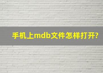 手机上mdb文件怎样打开?