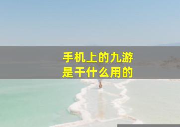 手机上的九游是干什么用的