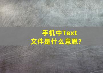 手机中Text文件是什么意思?