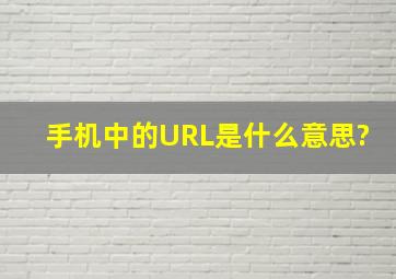 手机中的URL是什么意思?