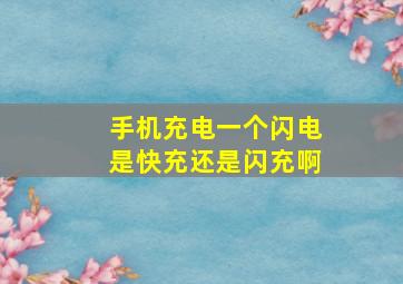 手机充电一个闪电是快充还是闪充啊。