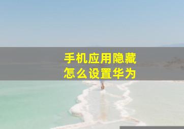 手机应用隐藏怎么设置华为