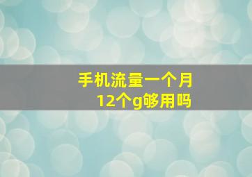 手机流量一个月12个g够用吗