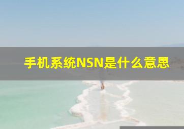 手机系统NSN是什么意思