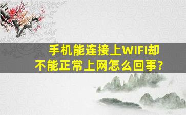 手机能连接上WIFI却不能正常上网,怎么回事?