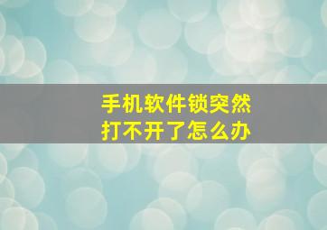 手机软件锁突然打不开了怎么办