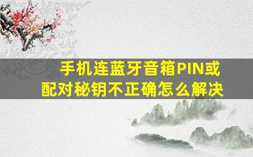 手机连蓝牙音箱PIN或配对秘钥不正确怎么解决(