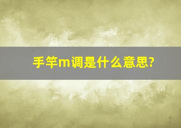 手竿m调是什么意思?