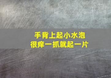 手背上起小水泡很痒一抓就起一片