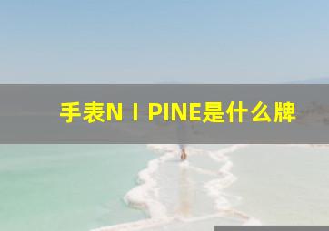 手表NⅠPINE是什么牌