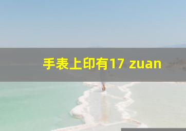 手表上印有17 zuan