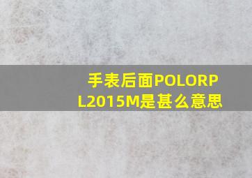 手表后面POLORPL2015M是甚么意思