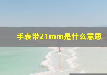 手表带21mm是什么意思