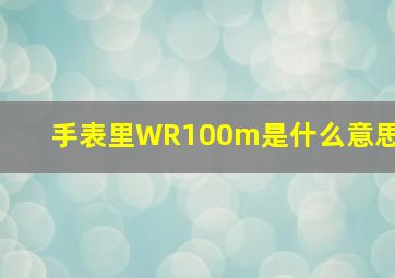 手表里WR100m是什么意思(