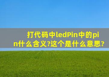 打代码中,ledPin中的pin什么含义?这个是什么意思?