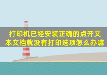 打印机已经安装正确的点开文本文档就没有打印选项怎么办嘛