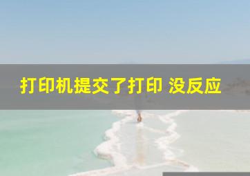 打印机提交了打印 没反应