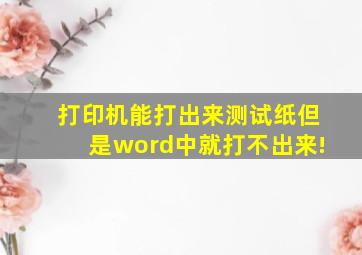 打印机能打出来测试纸,但是word中就打不出来!