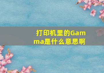 打印机里的Gamma是什么意思啊