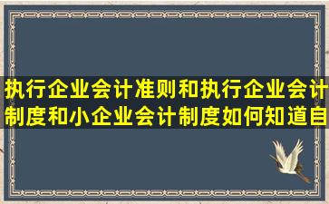 执行企业会计准则和执行企业会计制度和小企业会计制度如何知道自己的...