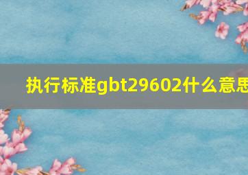 执行标准gbt29602什么意思(