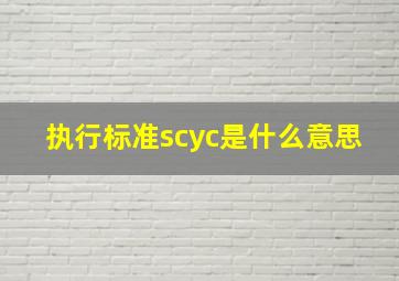 执行标准scyc是什么意思